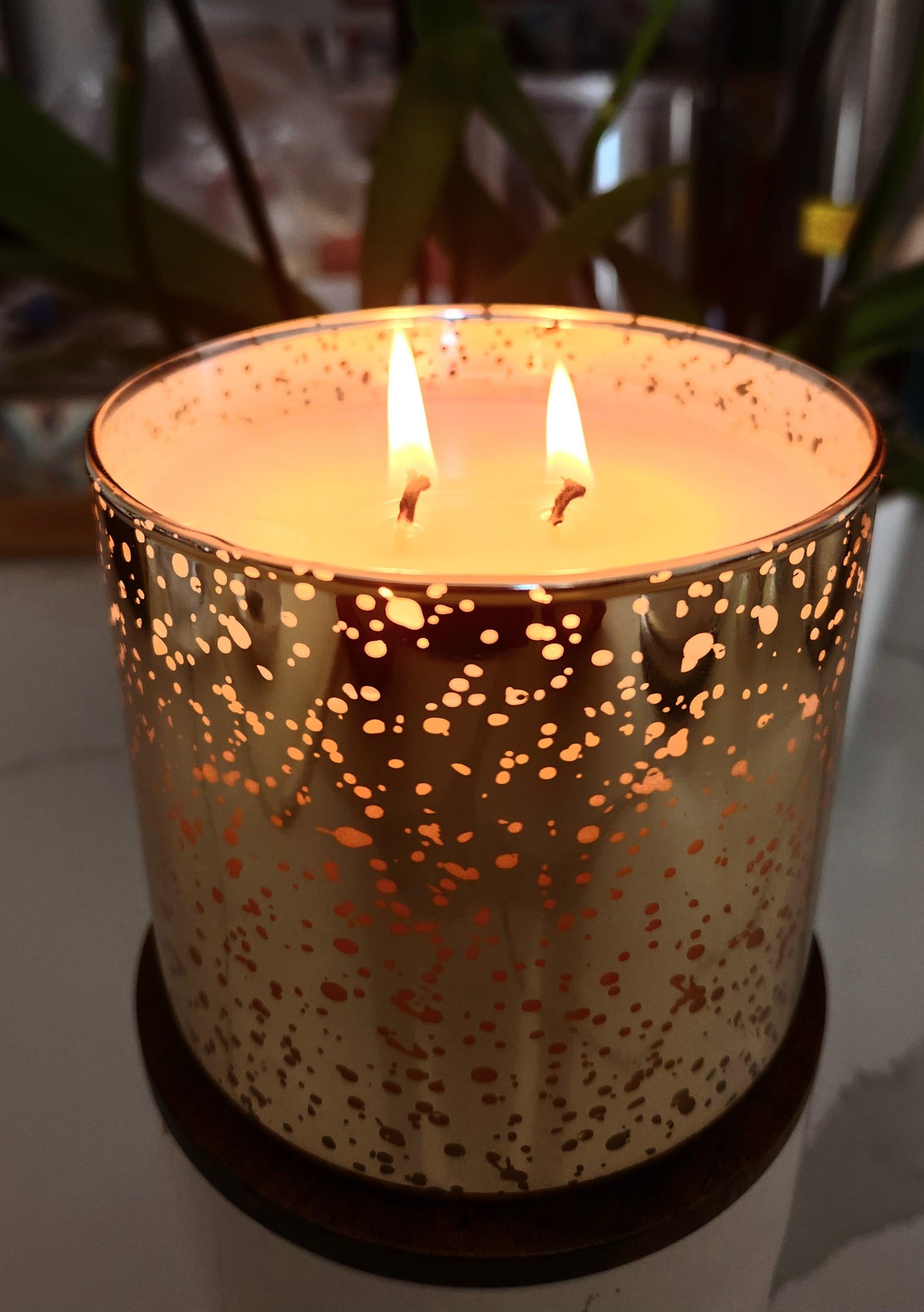 Napa Valley Holiday Glow