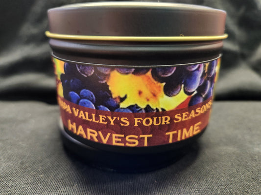 Fall "Harvest Time" Soy Candle